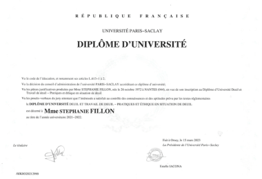 Mémoire Universitaire Deuil de Travail de Deuil